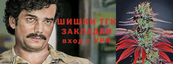 apvp Магадан