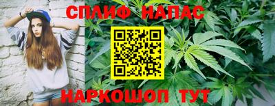 прущие грибы Кингисепп