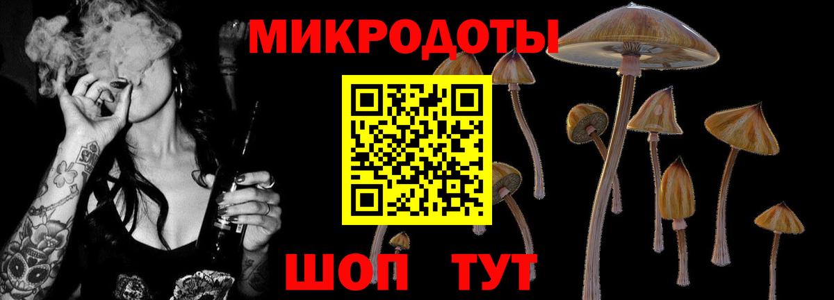 Псилоцибиновые грибы Cubensis  Галлюциногенные грибы ЛСД  Мелеуз  Вход с VPN 